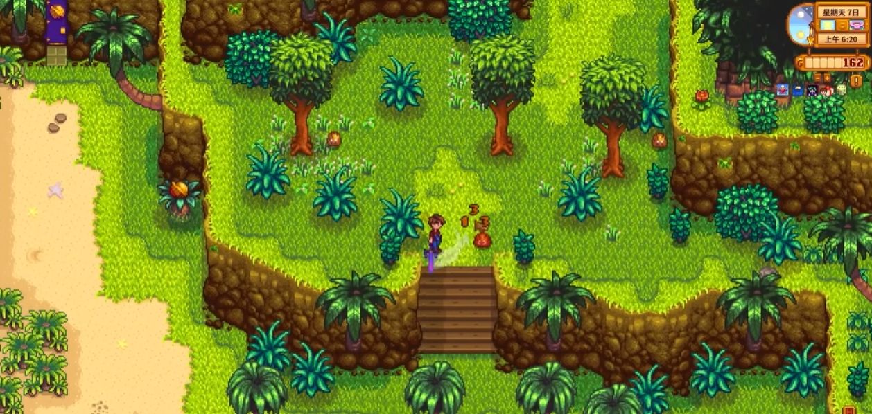 星露谷物语菠萝收益怎么样