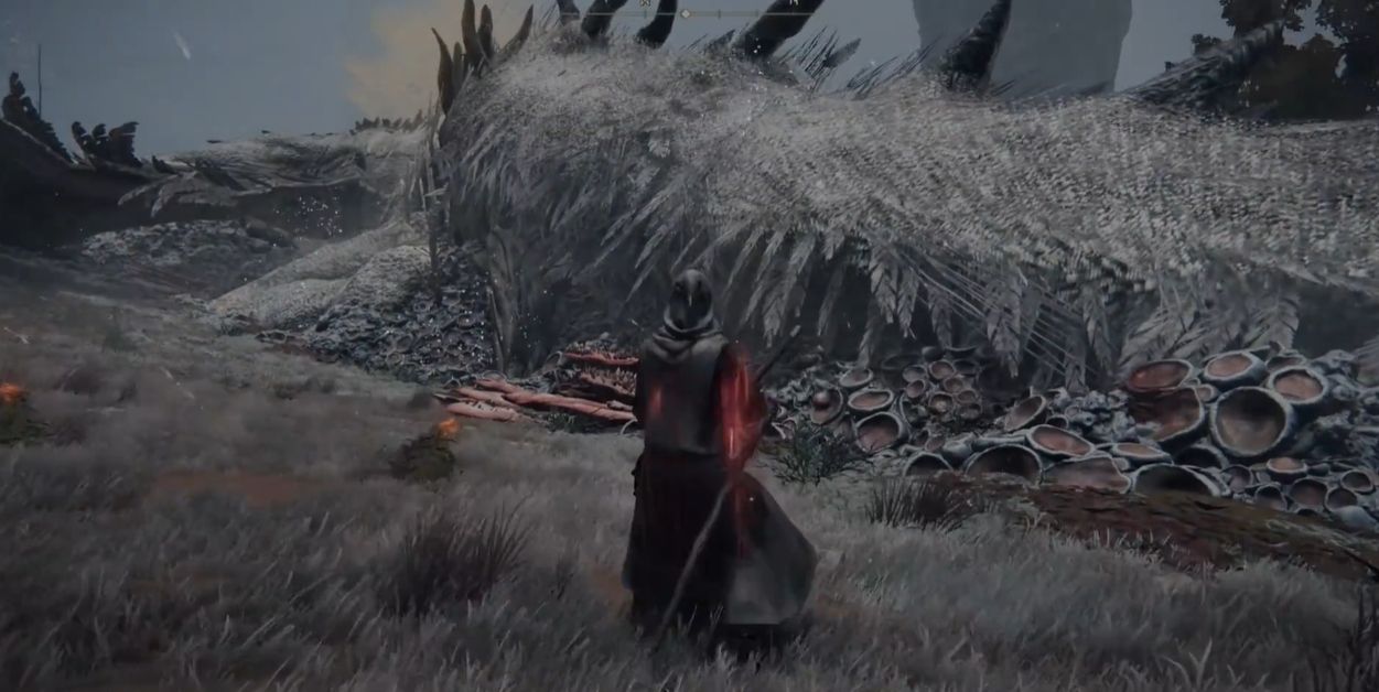 艾尔登法环白龙怎么打快 艾尔登法环白龙怎么打快