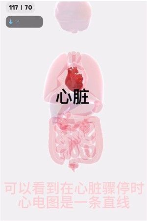 生命life安卓汉化版