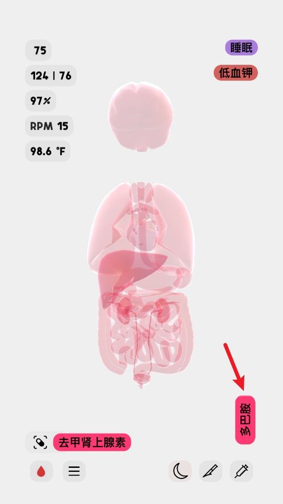 生命life安卓汉化版