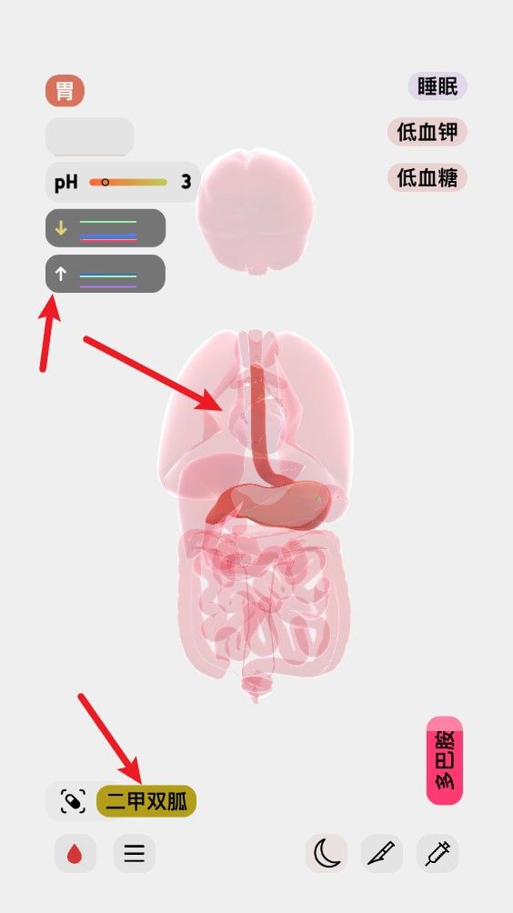 生命life安卓汉化版