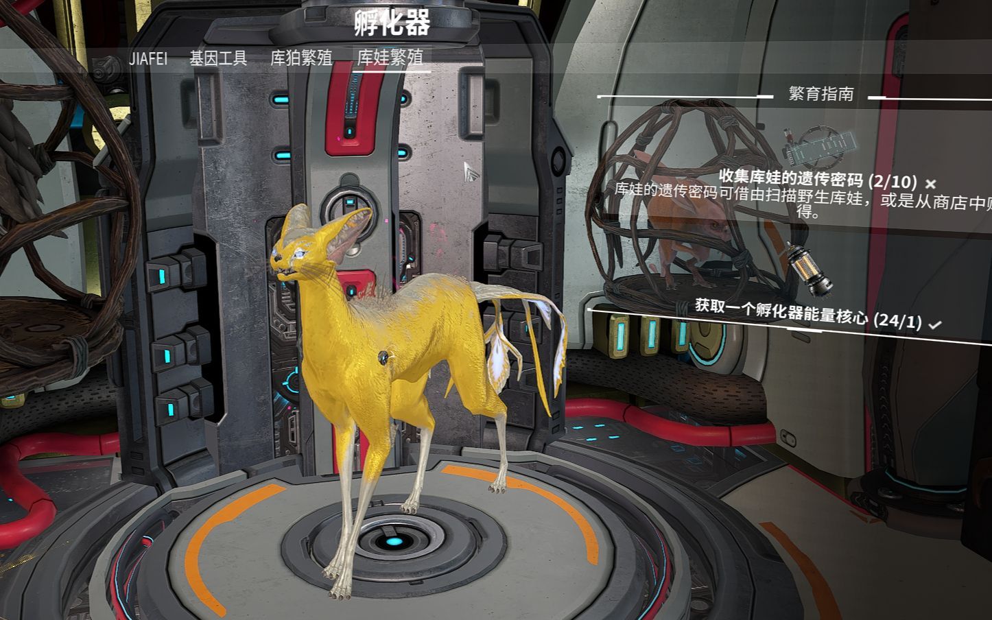 星际战甲同伴有哪些种类 星际战甲同伴有哪些种类