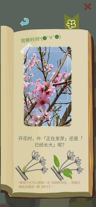 老农种树官方版 老农种树官方版