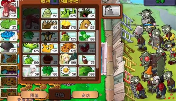 植物娘大战僵尸窝瓜娘