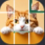 天才挪一挪红包版