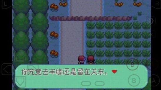 口袋妖怪彼岸花绽放之夜 口袋妖怪彼岸花绽放之夜