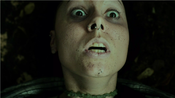 幽林深处手机版截图2