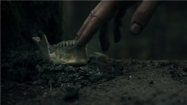 幽林深处手机版截图1