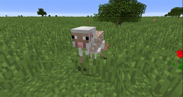 我的世界1.19.50.25基岩版国际版