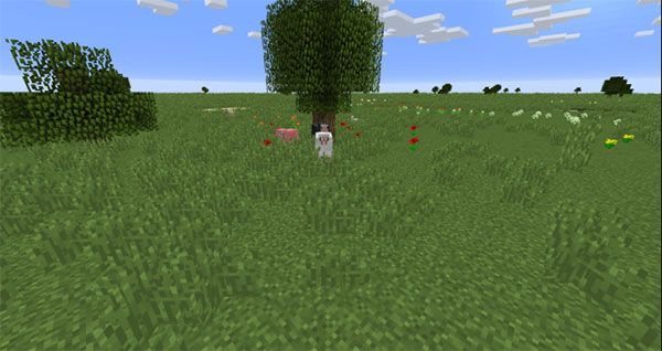 我的世界1.19.50.25基岩版国际版