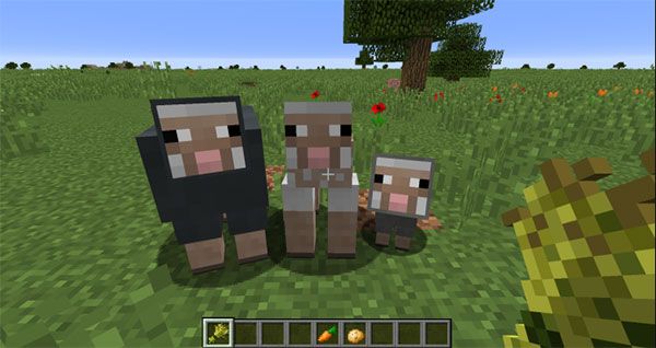 我的世界1.19.50.25基岩版国际版