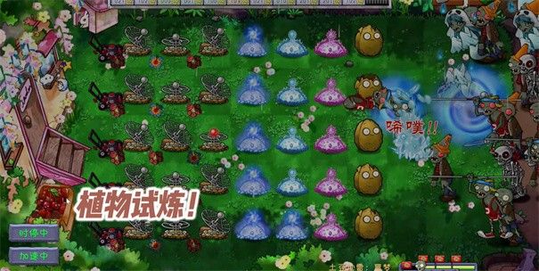 pvz共生版1.2.1