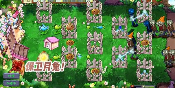 pvz共生版1.2.1