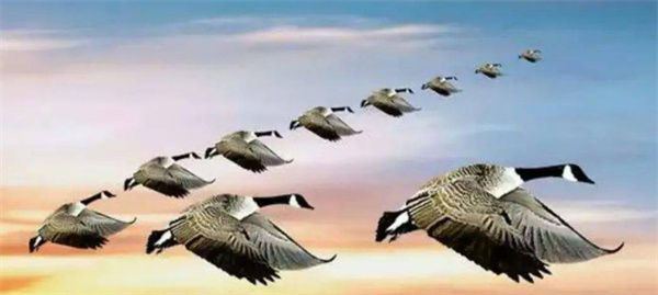 蚂蚁庄园2025年11月25日今日答案