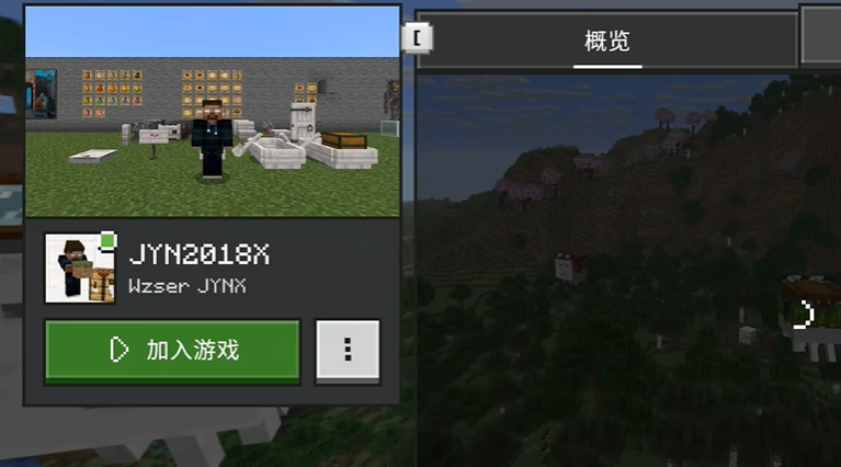 我的世界基岩版远程联机全教程及常见问题解答