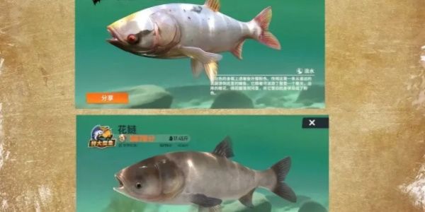 欢乐钓鱼大师全攻略-图文详解技巧大全