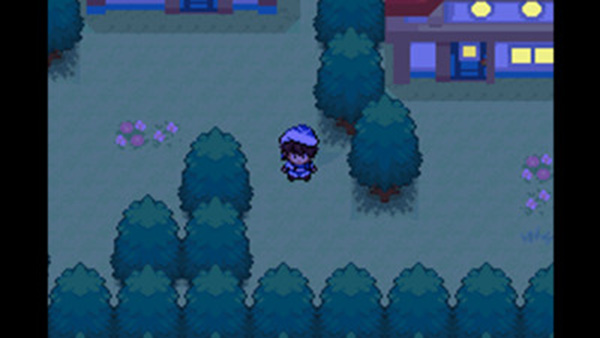 口袋妖怪失落的三国最新版截图2