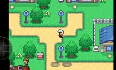 口袋妖怪空之花神补完版汉化版截图0