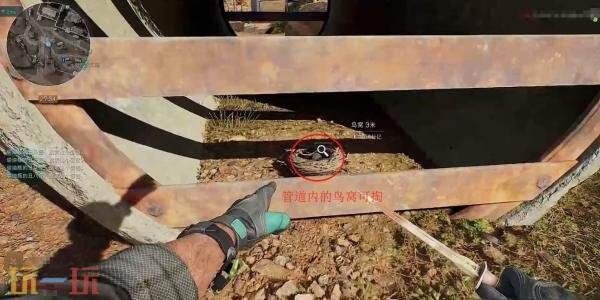 三角洲行动零号大坝鸟窝在哪 高清实拍鸟窝位置图解