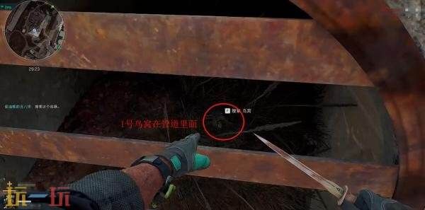 三角洲行动零号大坝鸟窝在哪 高清实拍鸟窝位置图解