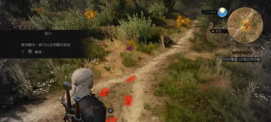 巫师3技能石介绍攻略（巫师3技能石的种类及应用详解）