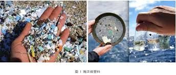 海洋中的微塑料指的是直径小于多少的塑料颗粒