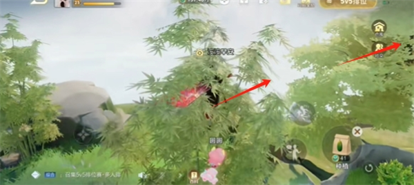 王者荣耀农场跳上樱花树的方法分享
