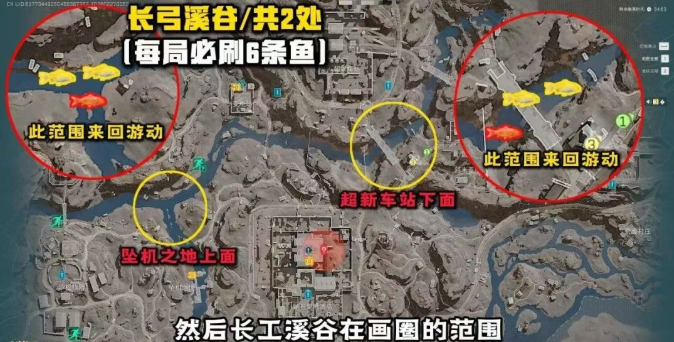 三角洲行动红鲤王怎么获得-红鲤王位置及获取方法 三角洲行动红鲤王怎么获得-红鲤王位置及获取方法
