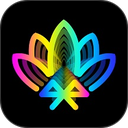 宝莲灯pro app