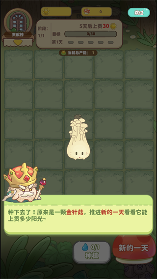 菇菇种植日记 菇菇种植日记
