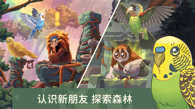 鸟类世界2026截图0