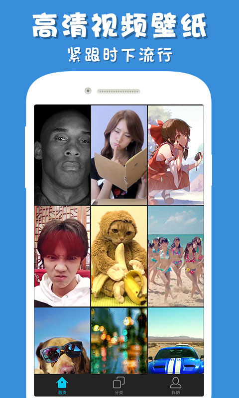 彩蛋视频壁纸手机版截图1