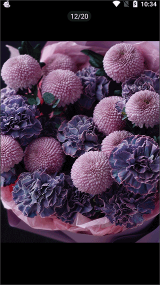 云选鲜花批发app