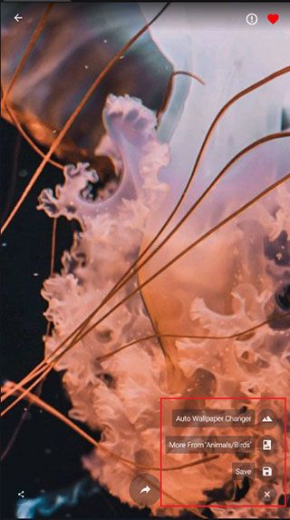 4K Wallpapers最新版 4K Wallpapers最新版
