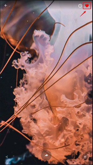 4K Wallpapers最新版 4K Wallpapers最新版