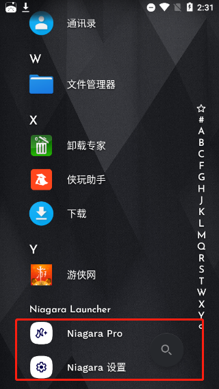 niagara launcher最新版 niagara launcher最新版