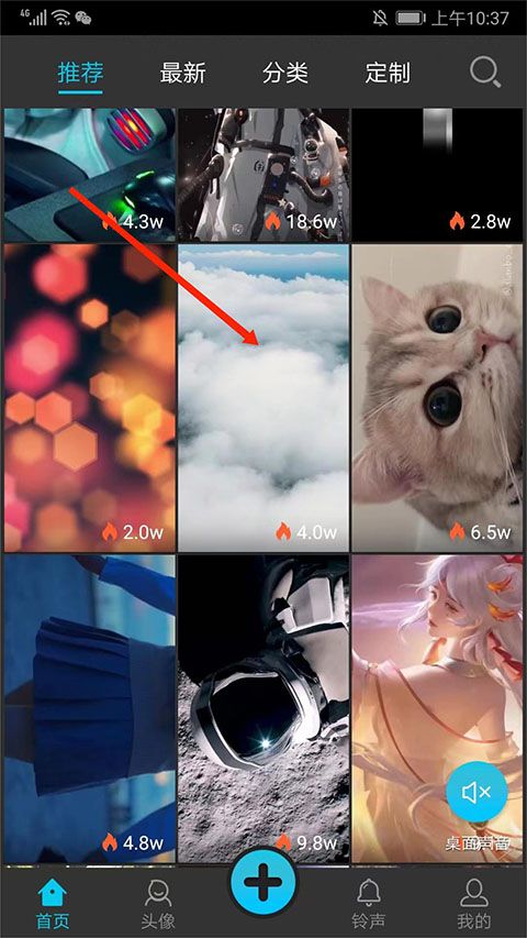 彩蛋视频壁纸手机版