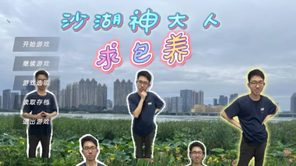沙湖神大人求包养手机版截图1