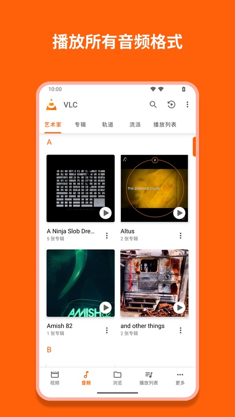 vlc播放器安卓版截图3