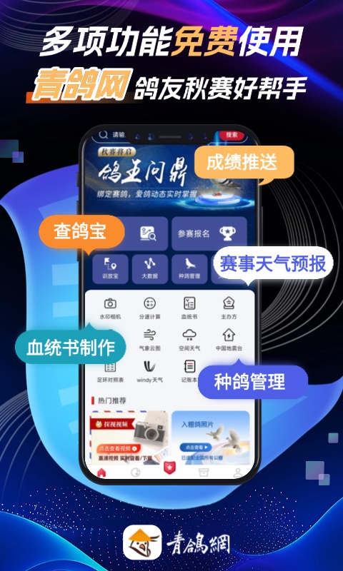 青鸽网app截图0