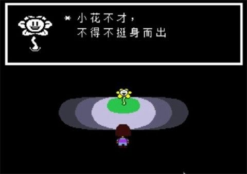 咪莫安卓版
