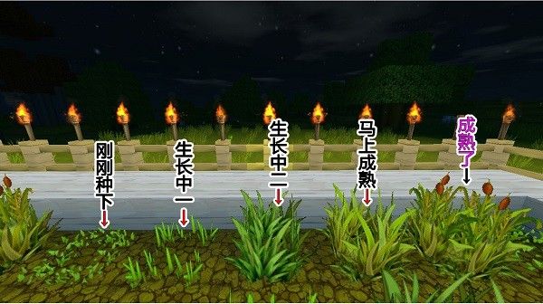 迷你世界老版本0.45.0