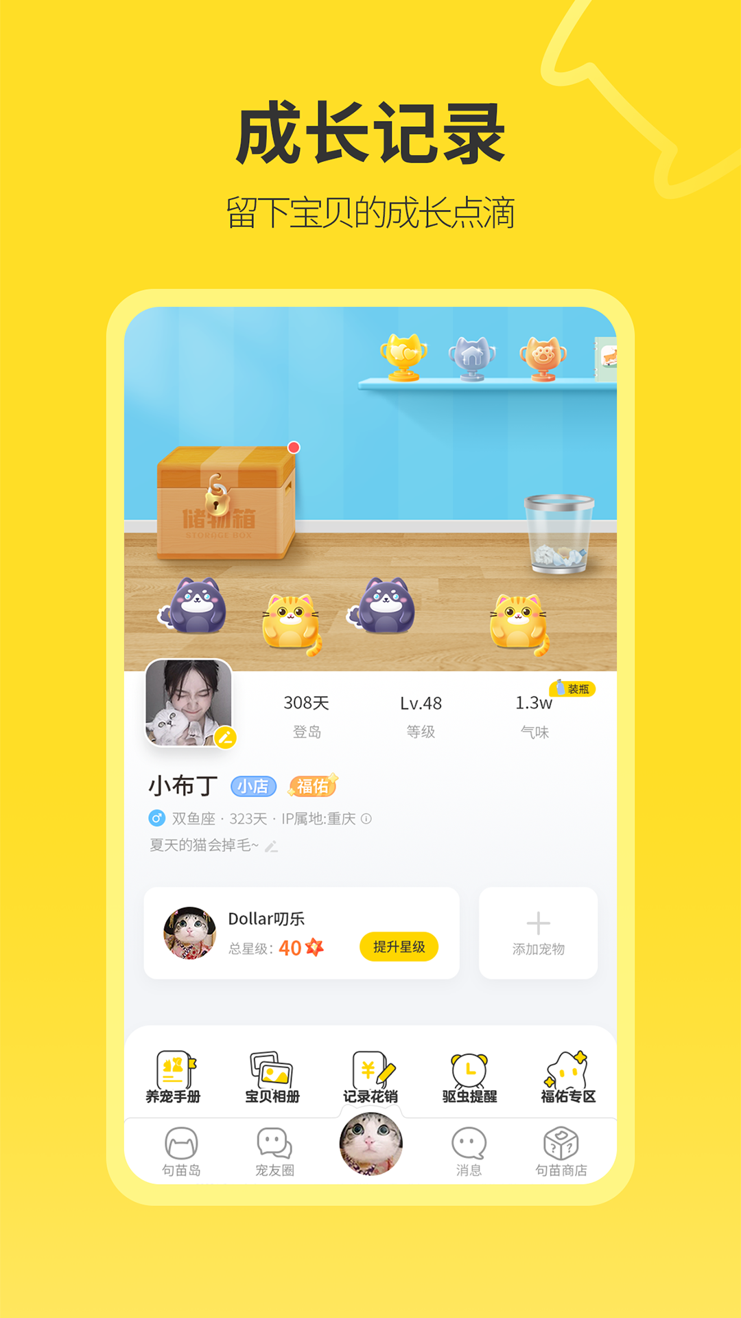 句苗岛截图2