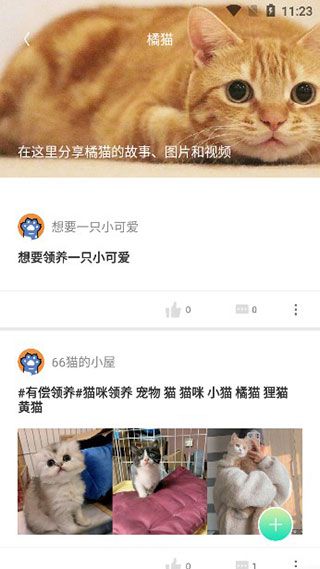 握爪宠物 握爪宠物