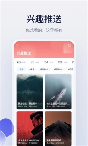 创作猫app 创作猫app