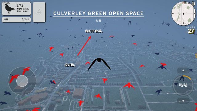 鸽子一段爱情故事 鸽子一段爱情故事