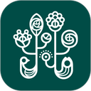 野兽派官方版app